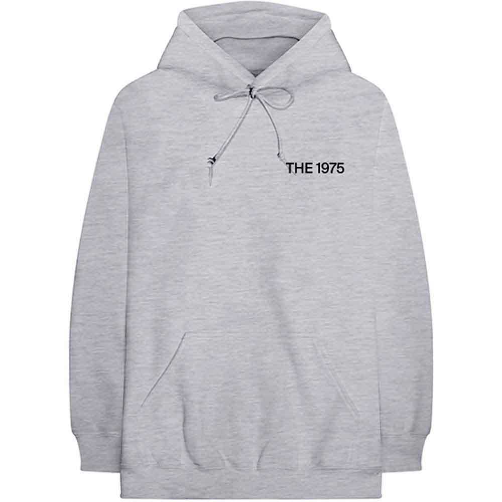 The 1975 Unisex Pullover Hoodie: ABIIOR MFC (Grey) (Back Print)