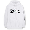 Tupac Unisex Pullover Hoodie: I See No Changes (White)