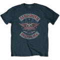 Aerosmith Unisex T-Shirt: Boston Pride (Denim Blue)