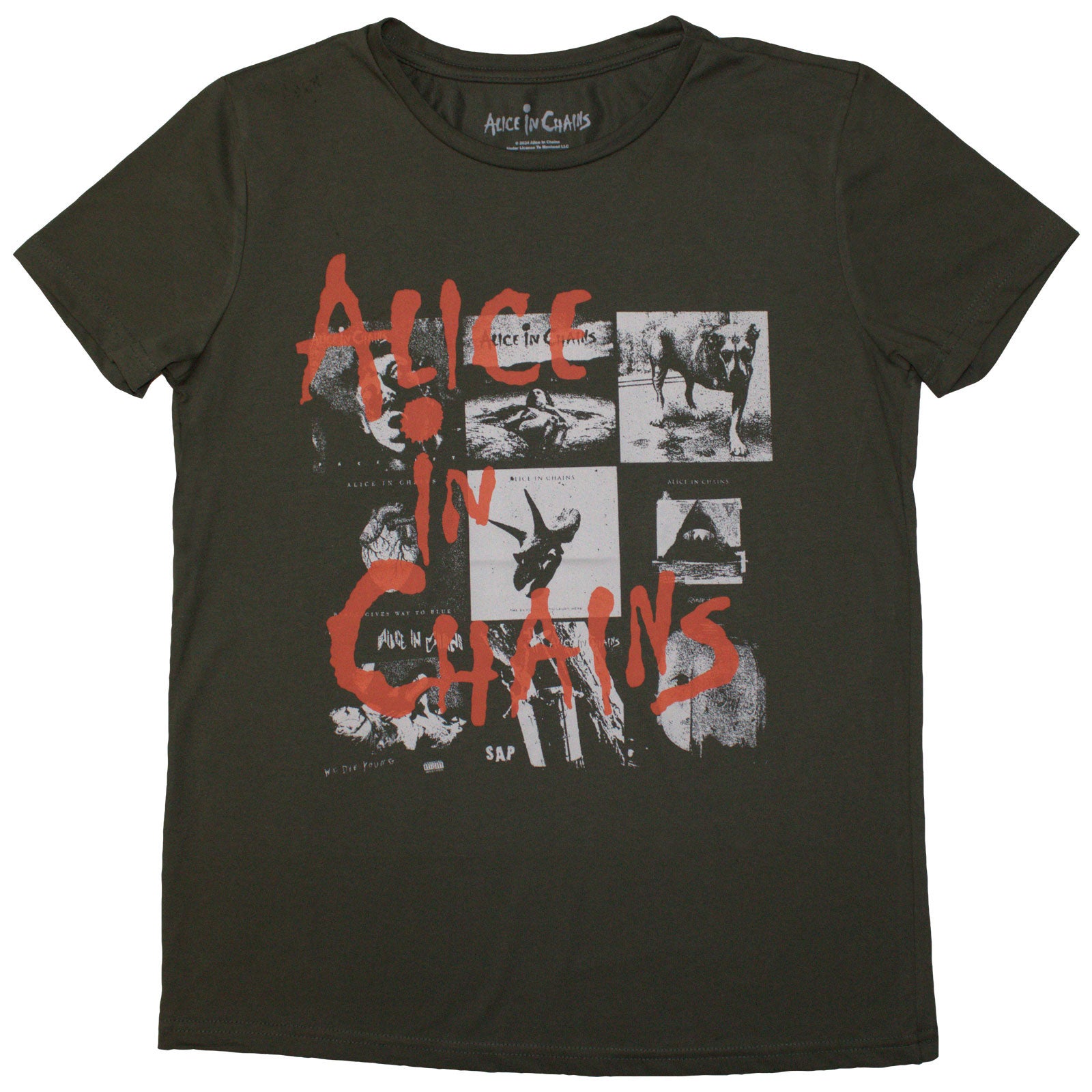 Alice In Chains Ladies T-Shirt: Albums Montage (Green)