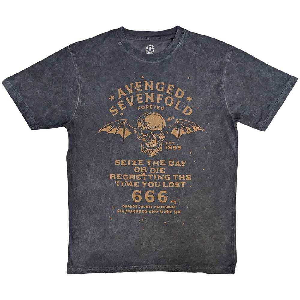 Avenged Sevenfold Unisex T-Shirt: Seize The Day (Black) (Wash Collection)