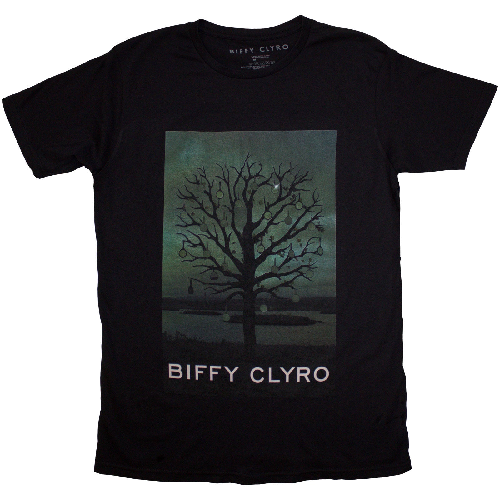 Biffy Clyro Unisex T-Shirt: Black Chandelier (Black)