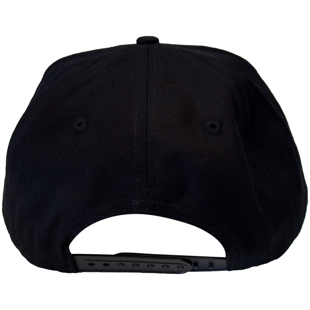 The Beastie Boys Unisex Snapback Cap: Check Your Head Logo (Black)