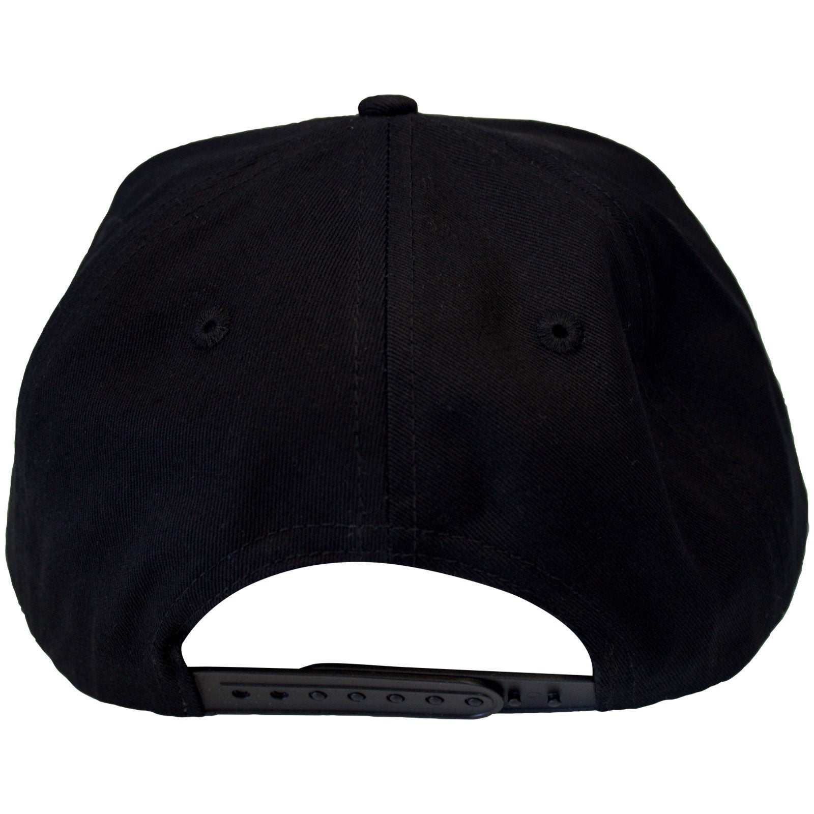 The Beastie Boys Unisex Snapback Cap: Check Your Head Logo (Black)