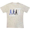 The Beatles Unisex T-Shirt: Abbey Road Colours (Grey) (Wash Collection)