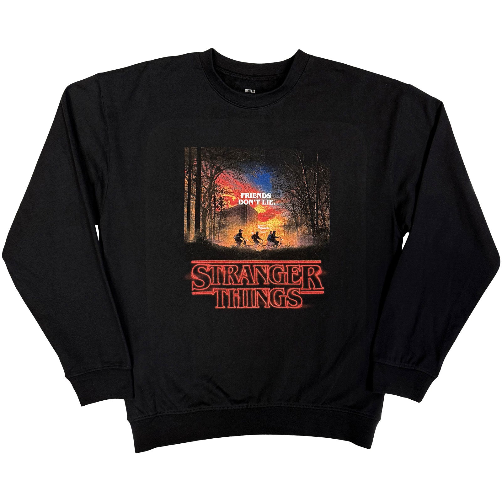 Stranger Things Unisex Sweatshirt: Friends Don't Lie (Black)