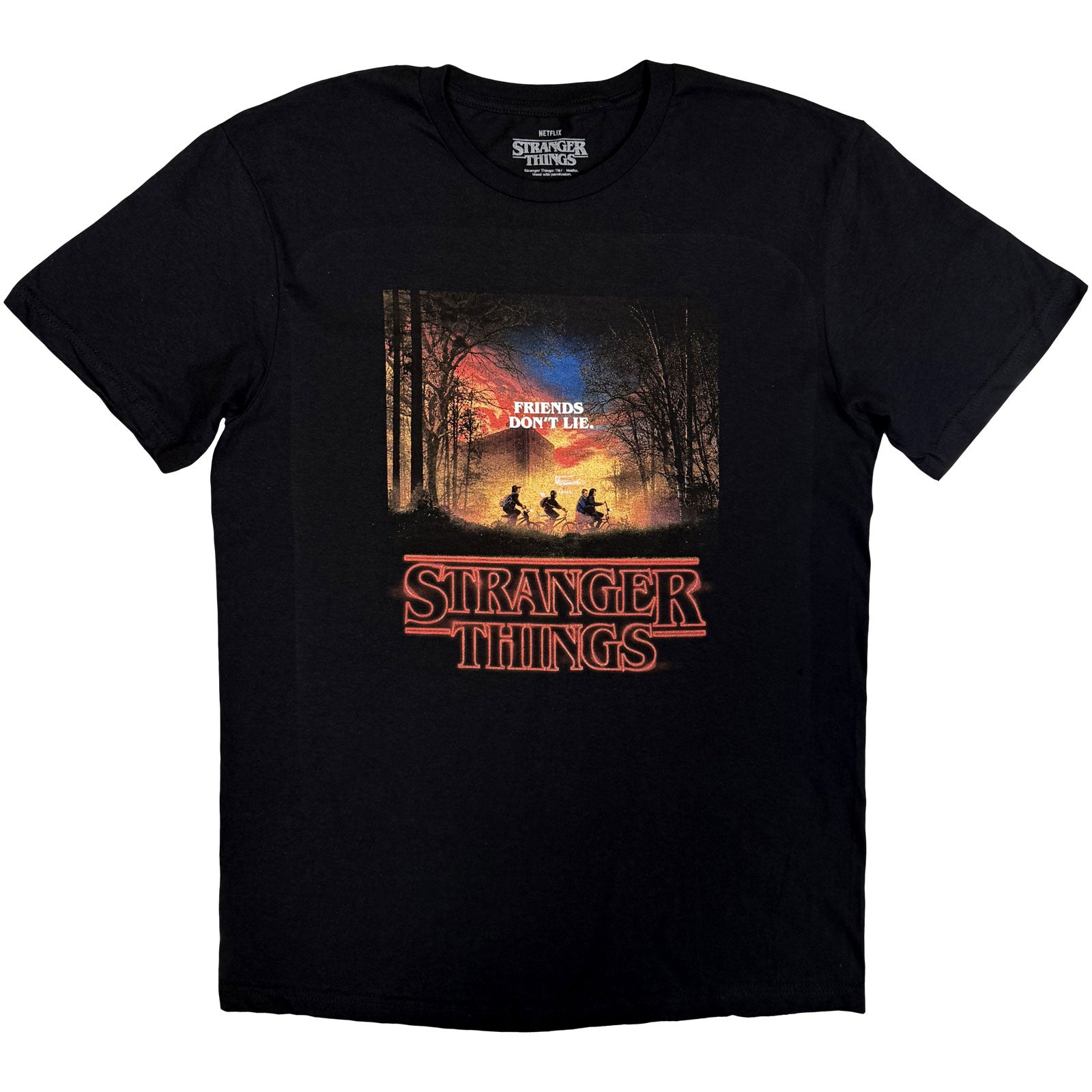 Stranger Things Unisex T-Shirt: Friends Don't Lie (Black)