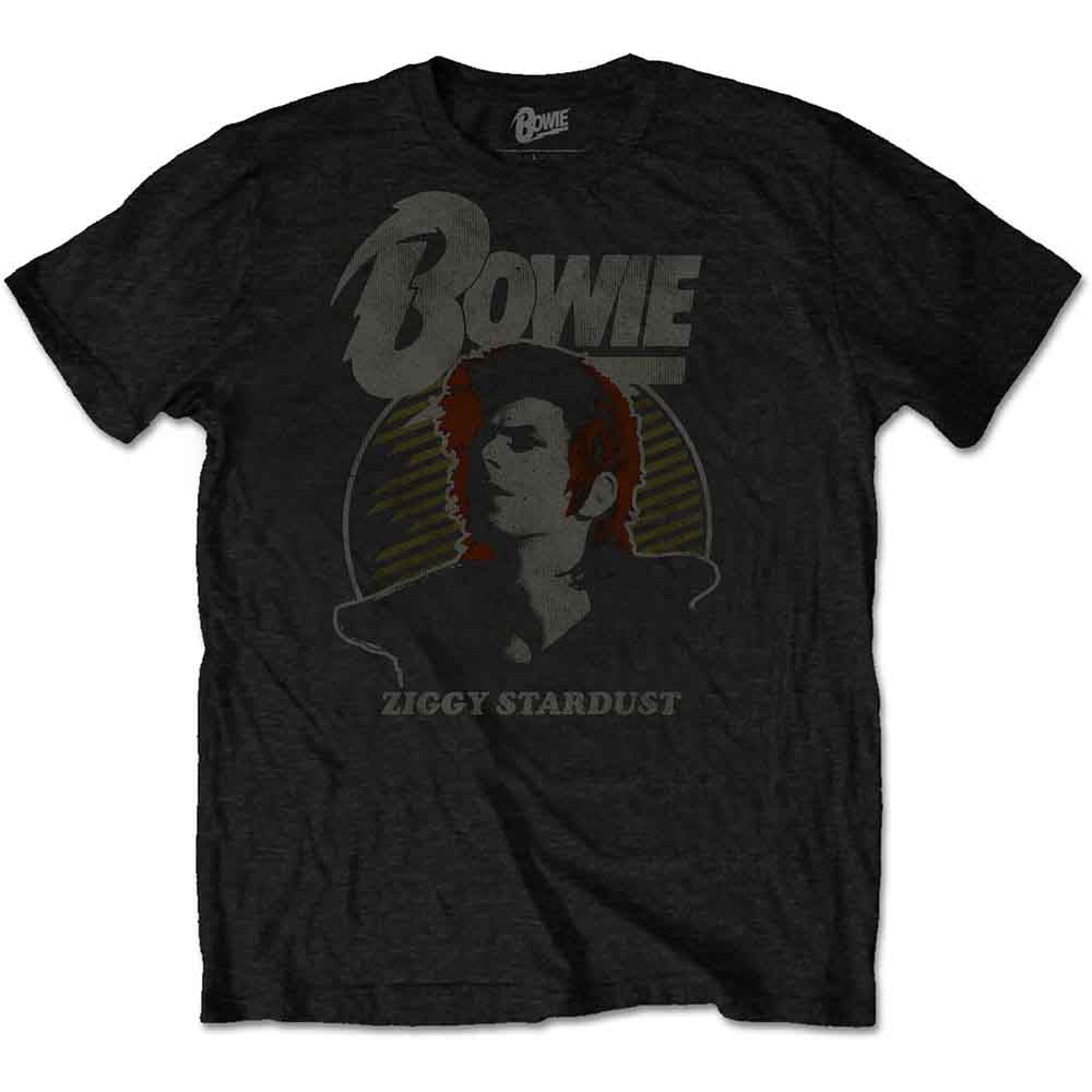 David Bowie Unisex T-Shirt: Vintage Ziggy (Black)