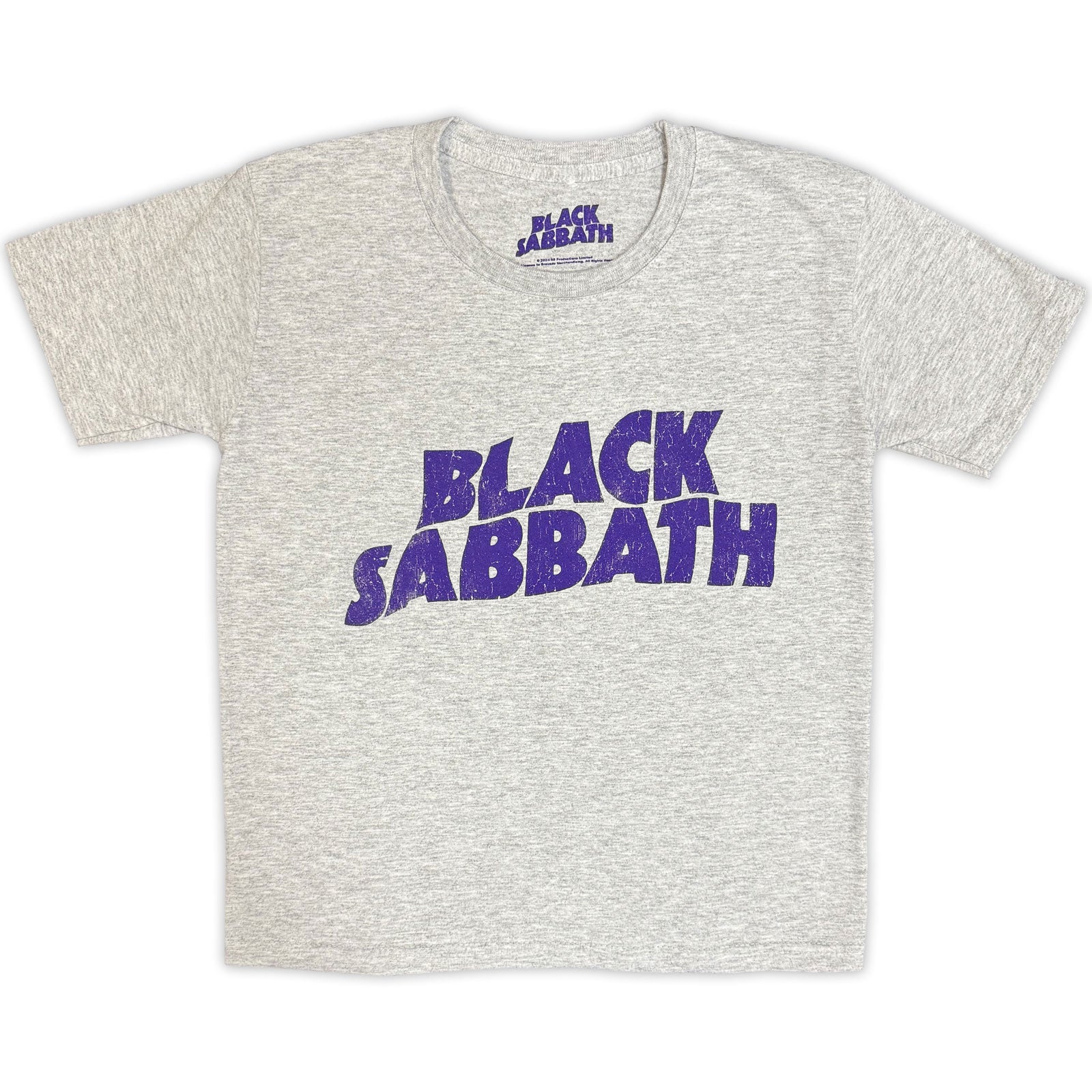 Black Sabbath Kids T-Shirt: Wavy Logo (Heather Grey)
