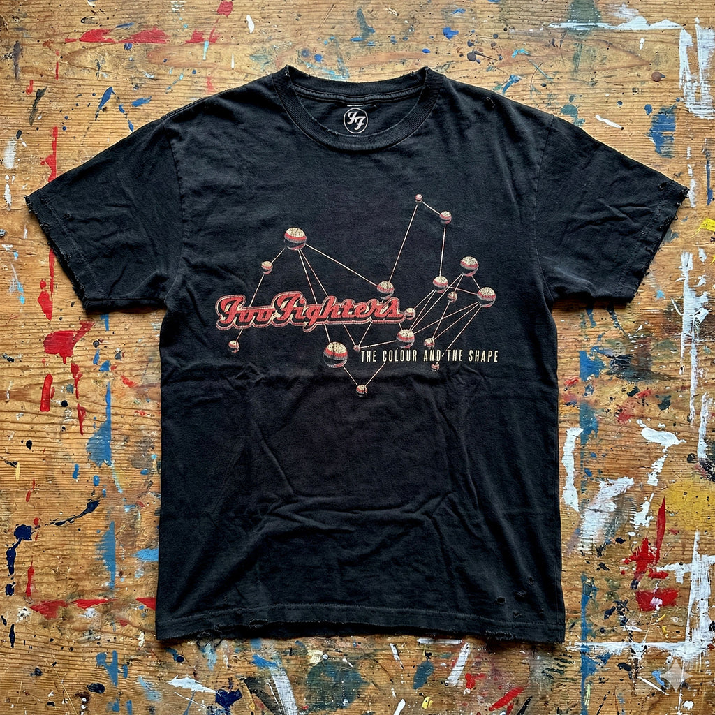 Foo Fighters Unisex Premium Carbon T-Shirt: The Colour & The Shape (Black) (Back Print)