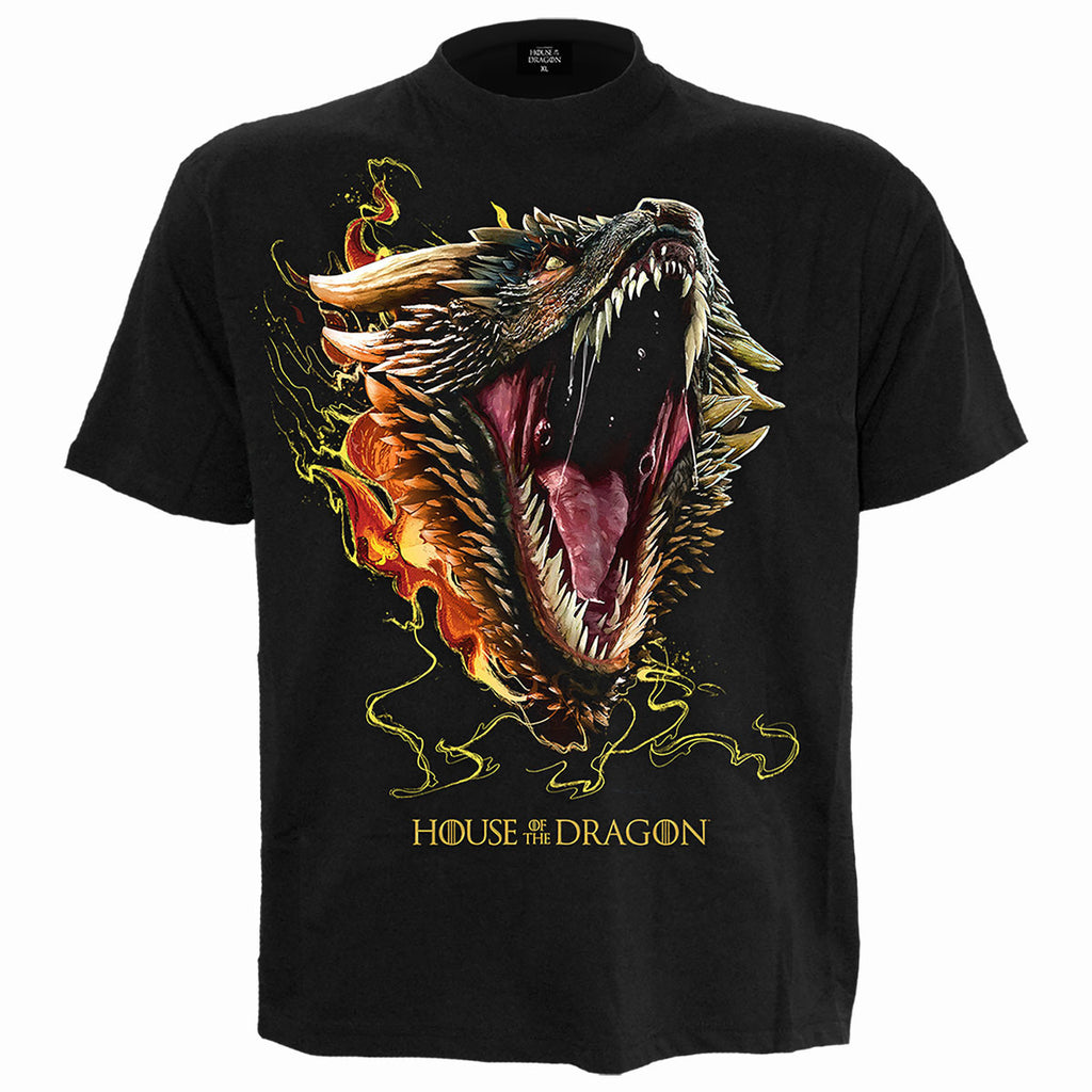 House of the Dragon Unisex T-Shirt: HOD2 Drogon (Black)