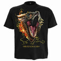 House of the Dragon Unisex T-Shirt: HOD2 Drogon (Black)