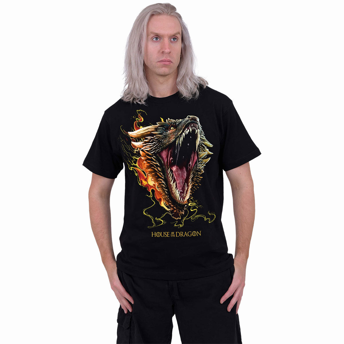 House of the Dragon Unisex T-Shirt: HOD2 Drogon (Black)