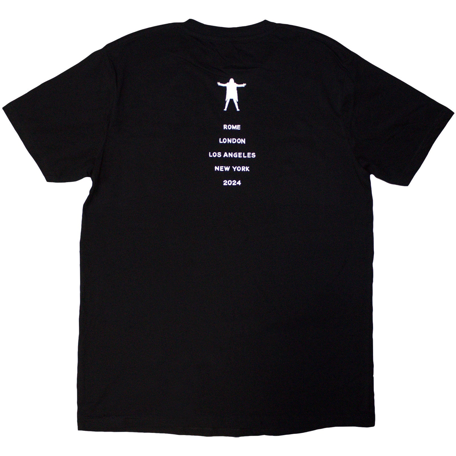 David Gilmour Unisex T-Shirt: Luck & Strange Portrait (Black) (Back Print & Ex-Tour)