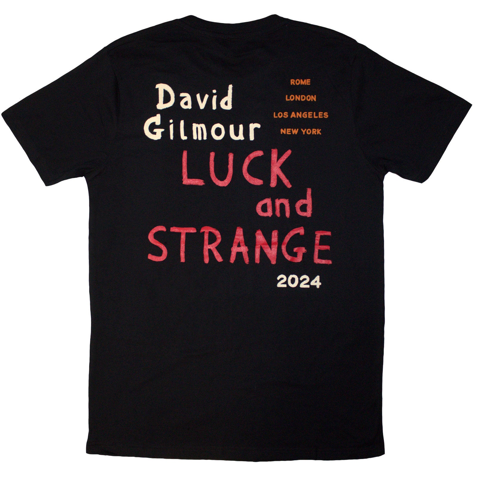 David Gilmour Unisex T-Shirt: Luck & Strange Stage Shot (Black) (Back Print & Ex-Tour)