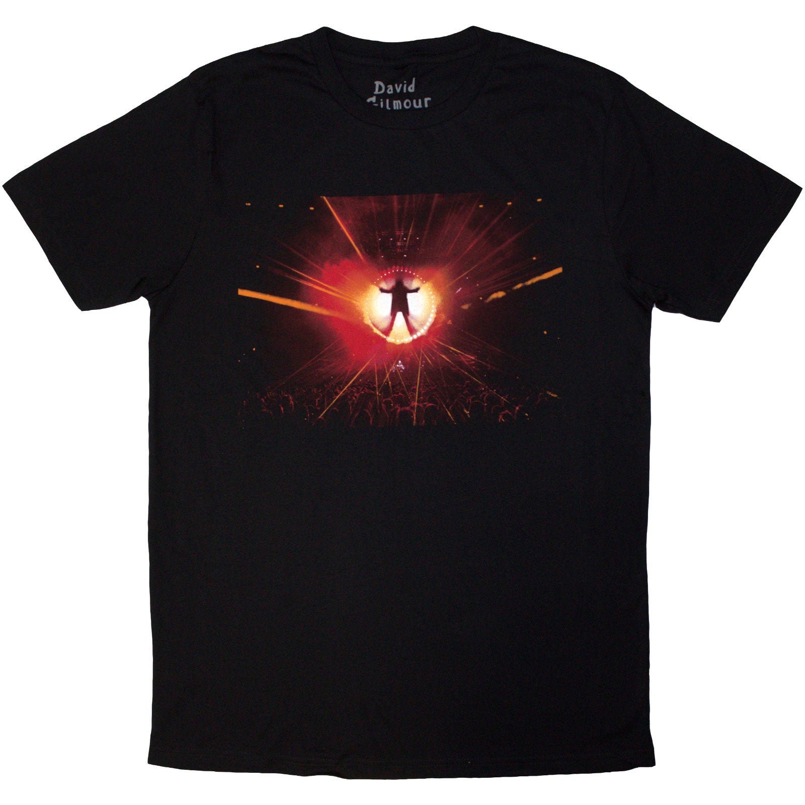 David Gilmour Unisex T-Shirt: Luck & Strange Stage Shot (Black) (Back Print & Ex-Tour)
