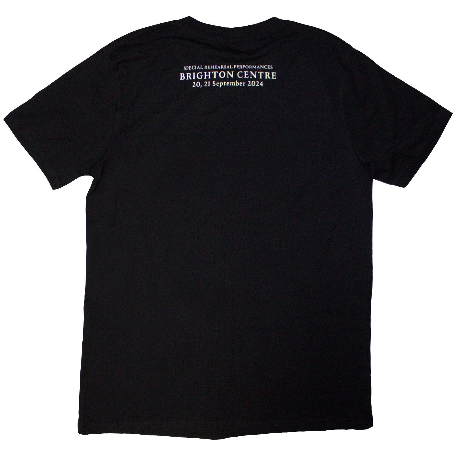 David Gilmour Unisex T-Shirt: Luck & Strange Brighton (Black) (Back Print & Ex-Tour)
