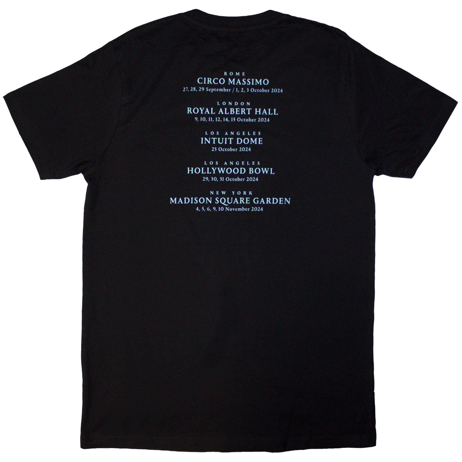 David Gilmour Unisex T-Shirt: Luck & Strange Rome (Black) (Back Print & Ex-Tour)
