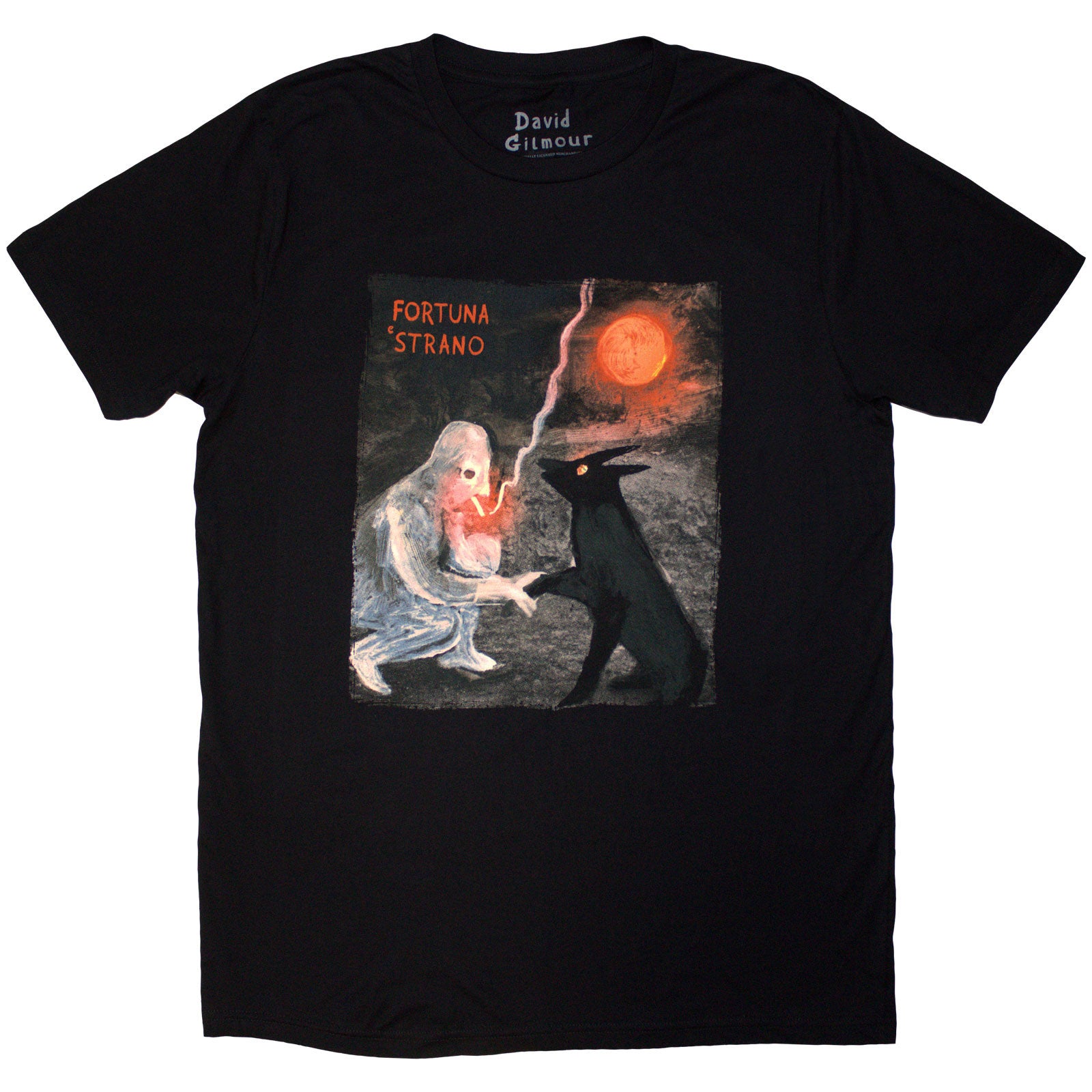 David Gilmour Unisex T-Shirt: Luck & Strange Fortuna E Strano (Black) (Back Print & Ex-Tour)