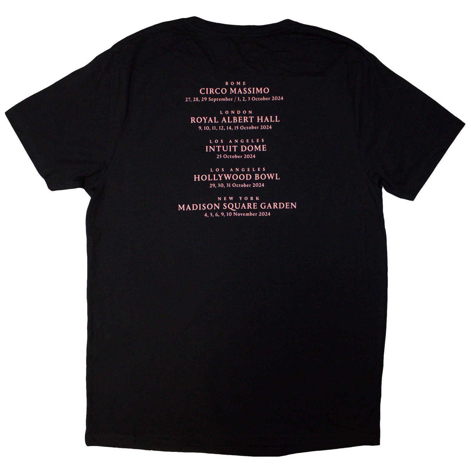David Gilmour Unisex T-Shirt: Luck & Strange London (Black) (Back Print & Ex-Tour)