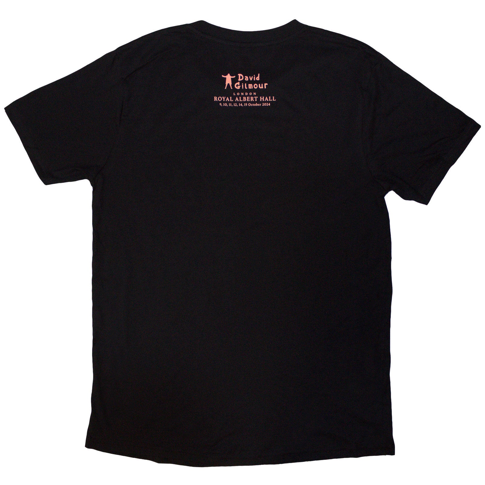 David Gilmour Unisex T-Shirt: Luck & Strange London 2 (Black) (Back Print & Ex-Tour)