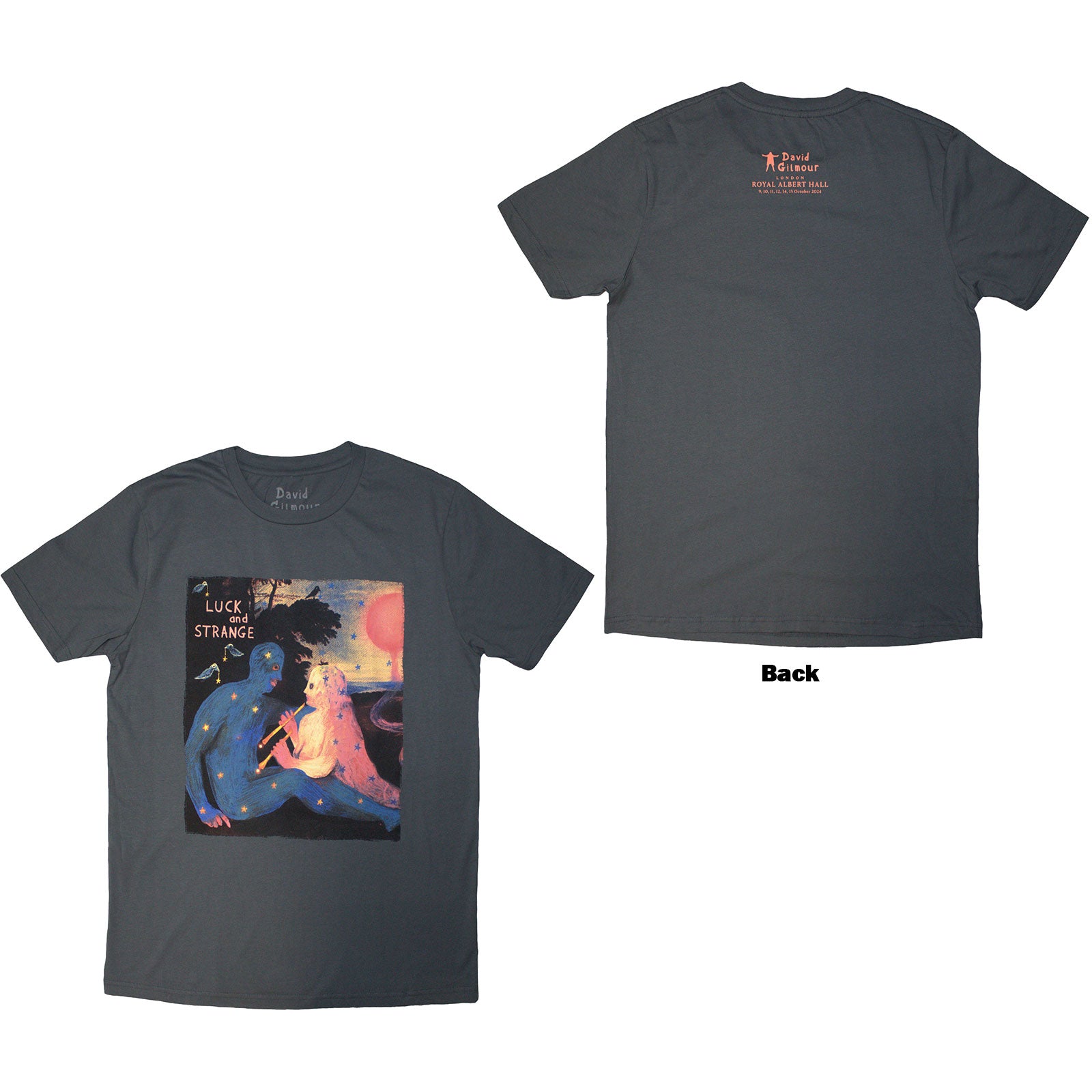 David Gilmour Unisex T-Shirt: Luck & Strange London 2 (Grey) (Back Print & Ex-Tour)