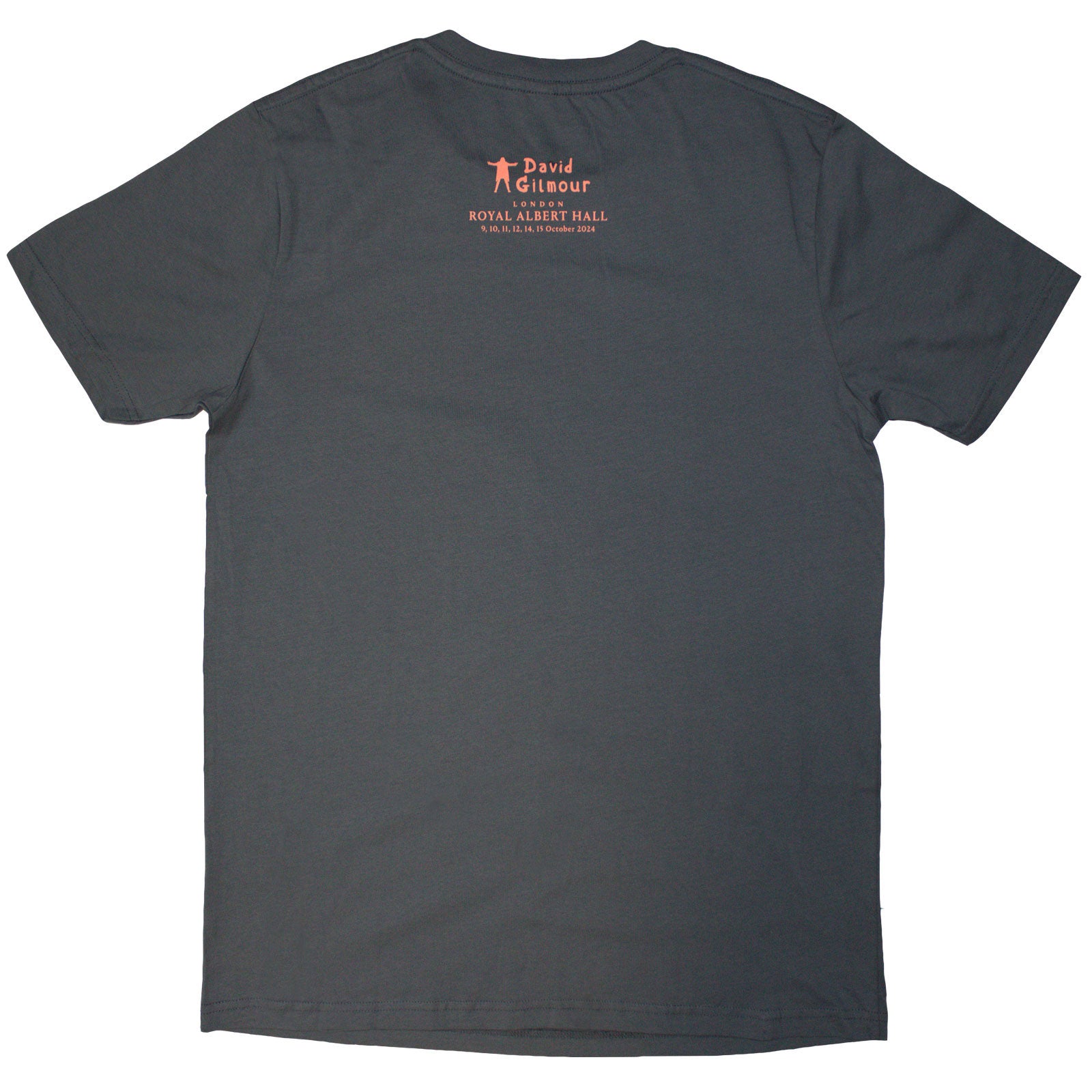 David Gilmour Unisex T-Shirt: Luck & Strange London 2 (Grey) (Back Print & Ex-Tour)