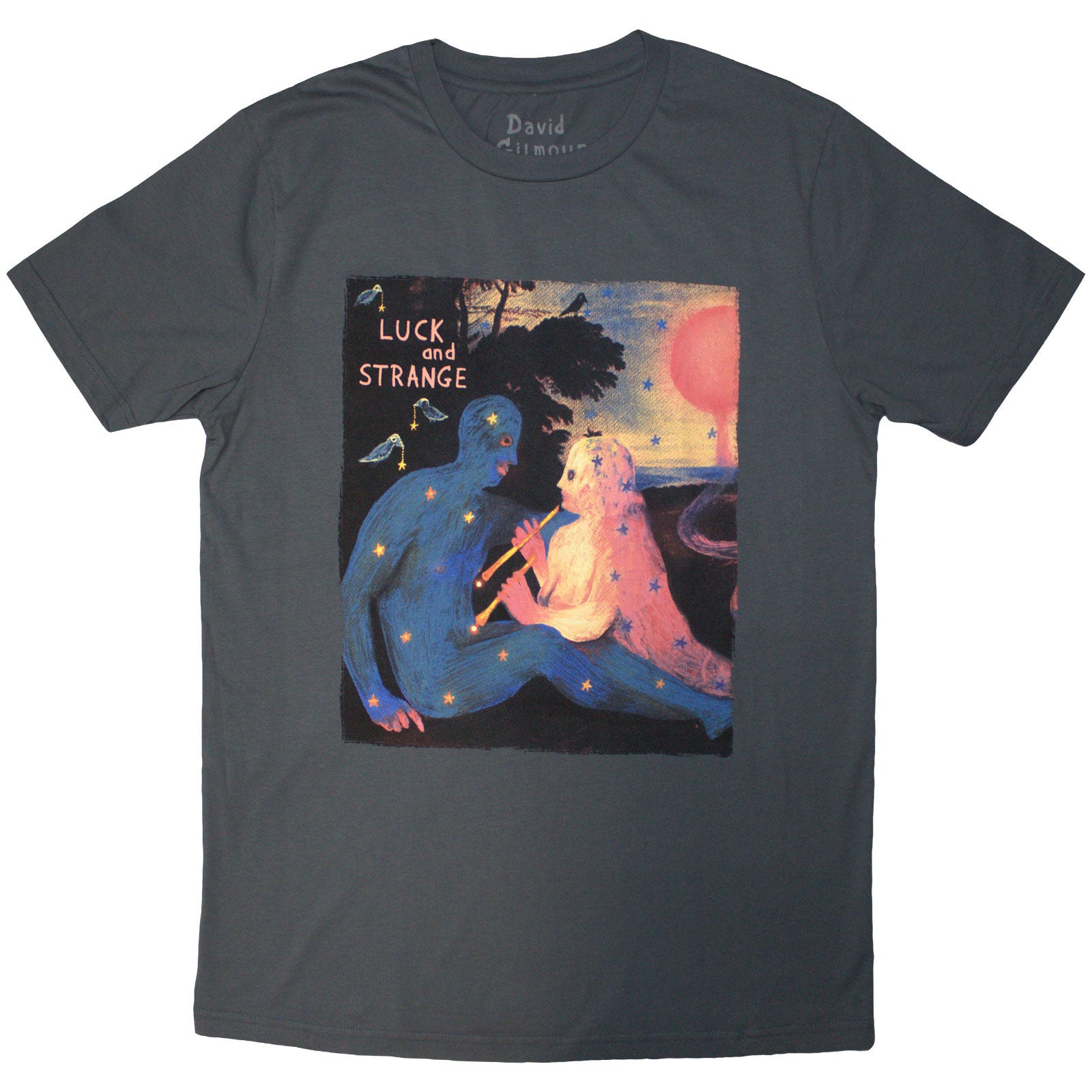 David Gilmour Unisex T-Shirt: Luck & Strange London 2 (Grey) (Back Print & Ex-Tour)