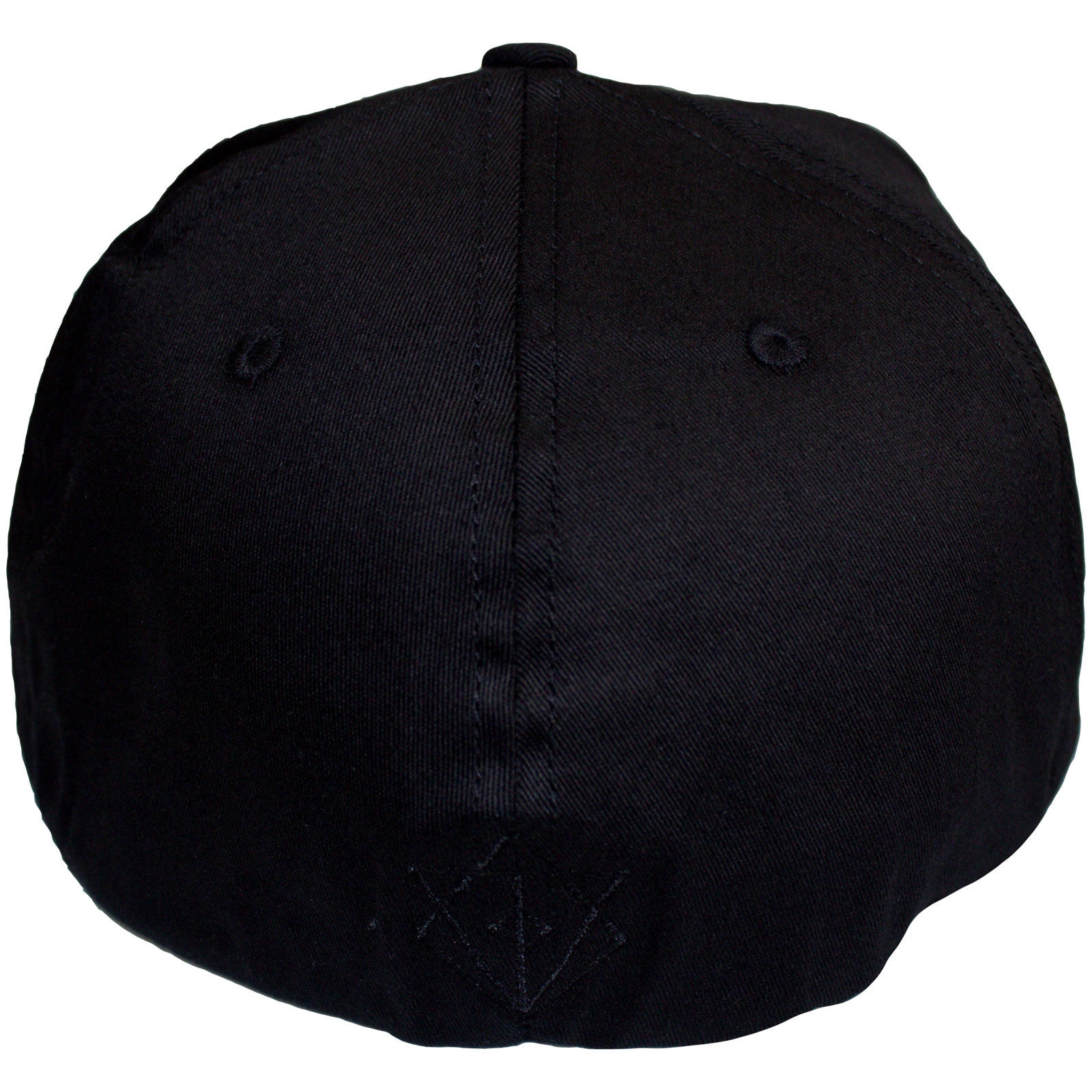 In Flames Unisex Snapback Cap: Black Logo (Black) (Back Print)