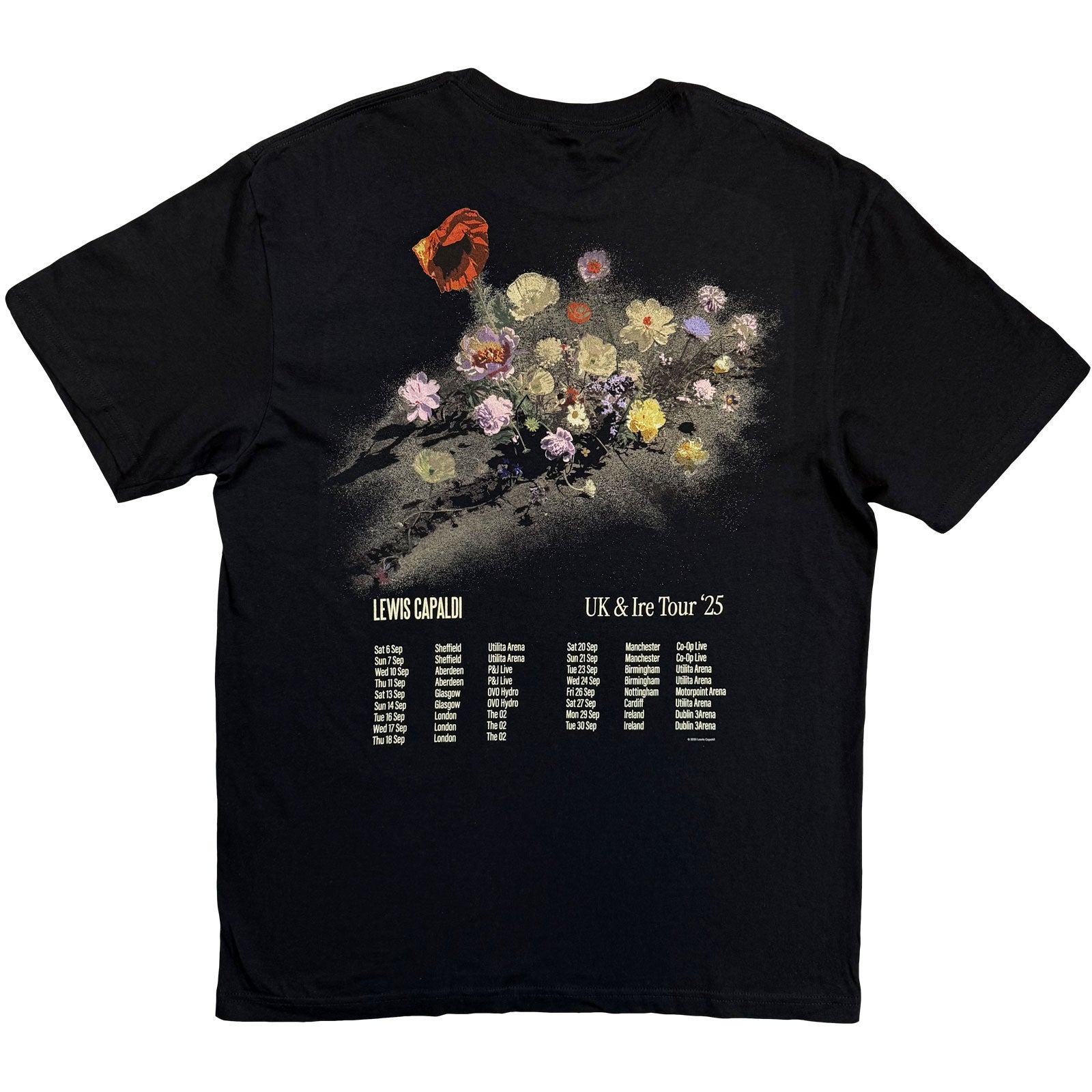 Lewis Capaldi Unisex T-Shirt: Flowers UK Tour '25 (Black) (Back Print) (Ex-Tour)