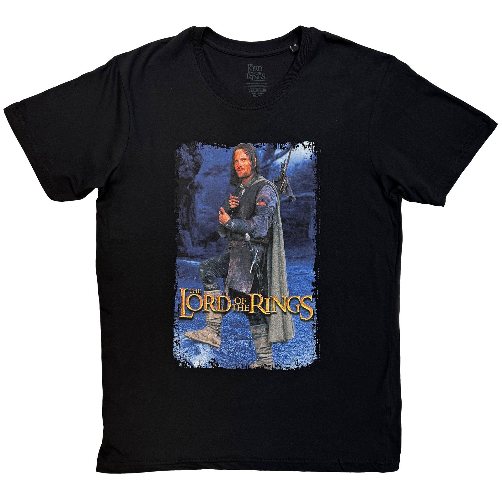 Lord Of The Rings Unisex T-Shirt: Aragon Standing Homage (Black)