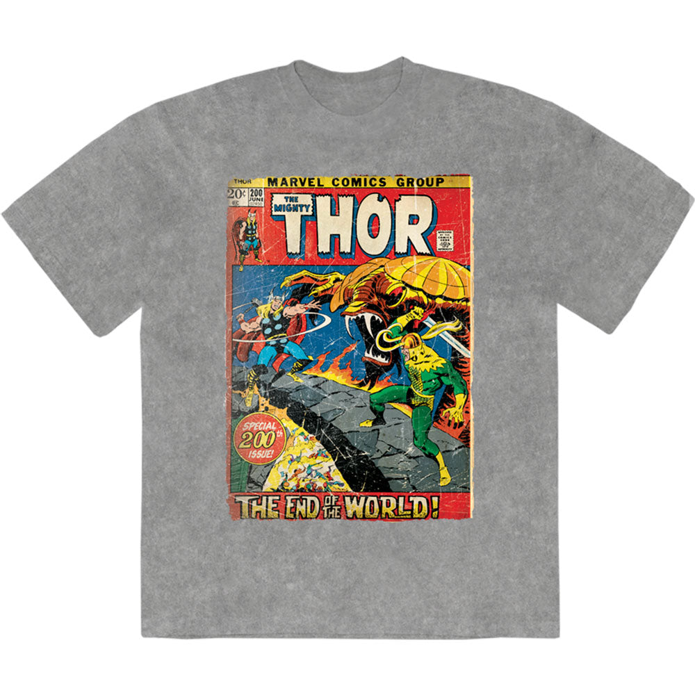 Marvel Comics Unisex Stone Wash T-Shirt: Thor End Of The World (Grey)
