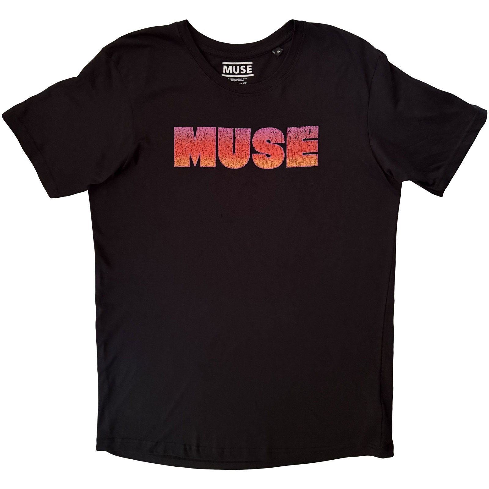 Muse Unisex T-Shirt: Punk Skull (Black) (Back Print)