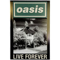 Oasis Fridge Magnet: Live Forever Single (Ex-Tour)