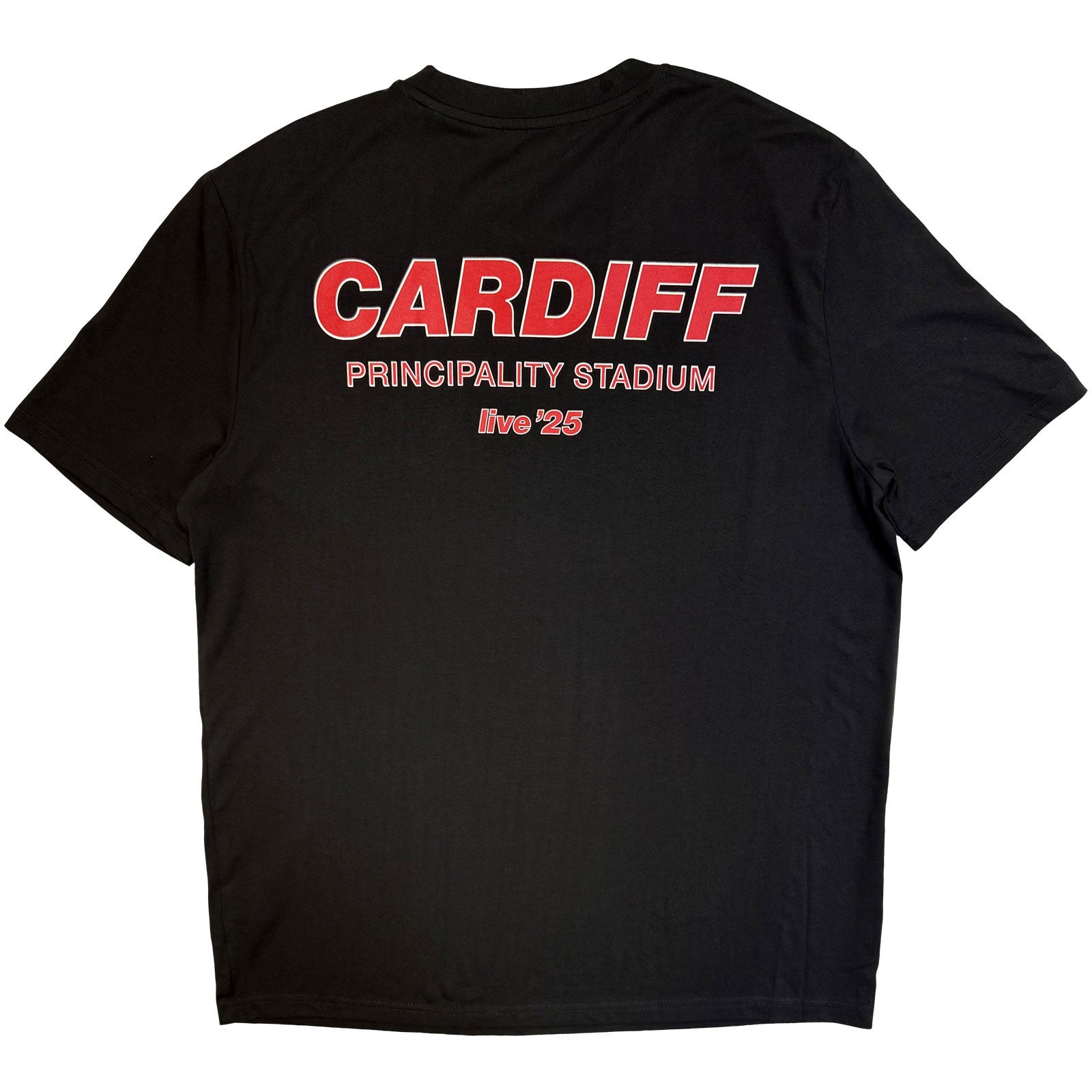 Oasis Unisex T-Shirt: Cardiff City Pop Up (Black) (Back Print & Ex-Tour)