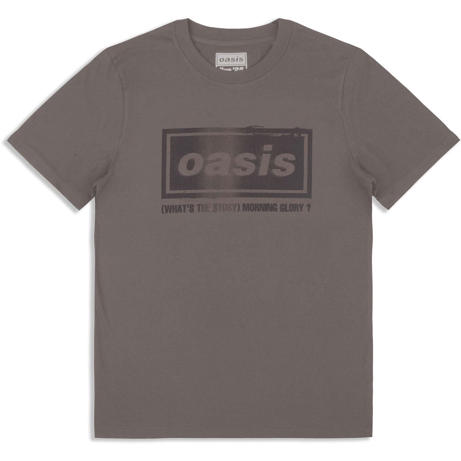 Oasis Unisex T-Shirt: What's The Story Tracklist (Grey) (Back Print & Ex-Tour)