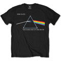 Pink Floyd Kids T-Shirt: Dark Side of the Moon Courier (Black)