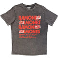 Ramones Unisex Stone Wash T-Shirt: Concert (Charcoal Grey)