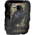 Spiral_Raven Wise_Sticker