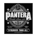 Pantera Standard Patch: Stronger Than All (Retail Pack)