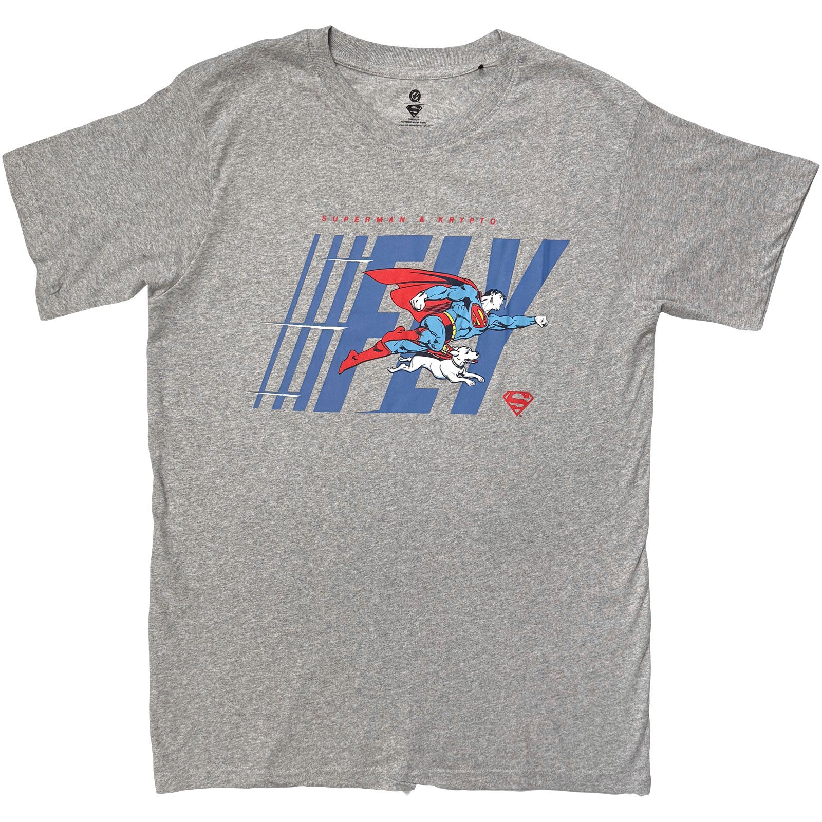 DC Comics Unisex T-Shirt: Fly (Grey)